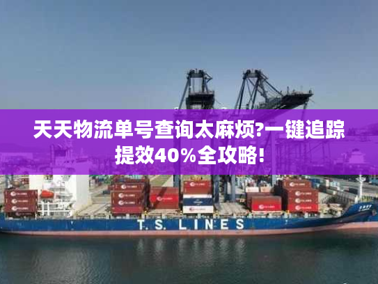 天天物流单号查询太麻烦?一键追踪提效40%全攻略! 天天物流单号查询太麻烦?一键追踪提效40%全攻略!