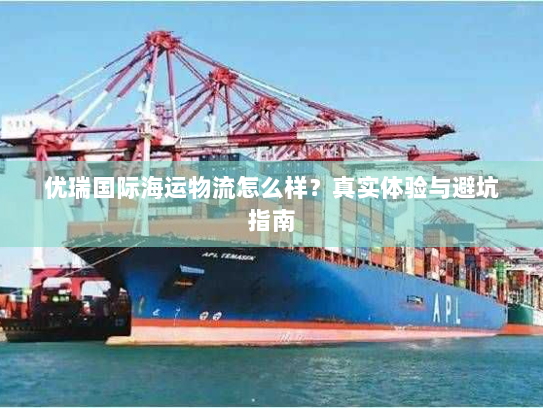 优瑞国际海运物流怎么样?真实体验与避坑指南 优瑞国际海运物流怎么样?真实体验与避坑指南