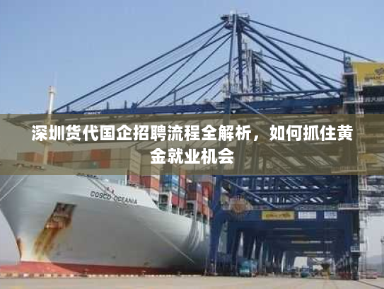 深圳货代国企招聘流程全解析,如何抓住黄金就业机会 深圳货代国企招聘流程全解析,如何抓住黄金就业机会
