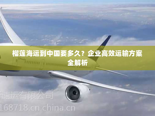 榴莲海运到中国要多久？企业高效运输方案全解析