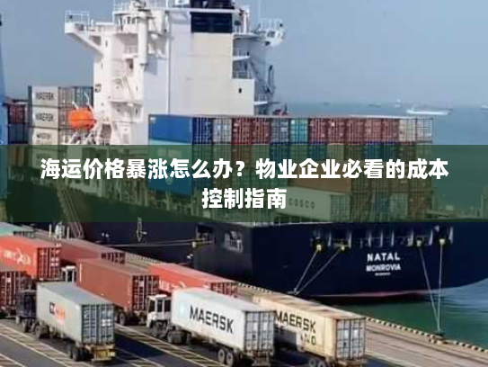 海运价格暴涨怎么办？物业企业必看的成本控制指南