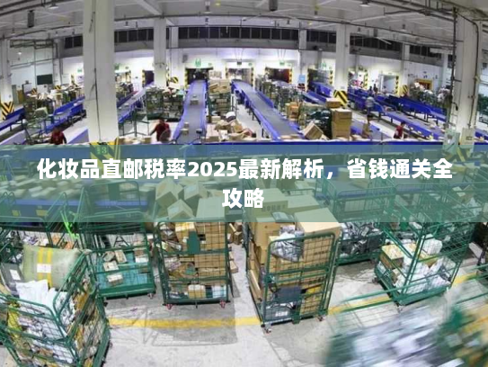 化妆品直邮税率2025最新解析,省钱通关全攻略 化妆品直邮税率2025最新解析,省钱通关全攻略