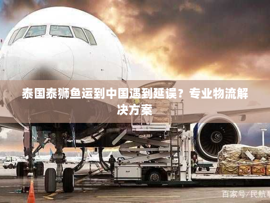 泰国泰狮鱼运到中国遇到延误?专业物流解决方案 泰国泰狮鱼运到中国遇到延误?专业物流解决方案