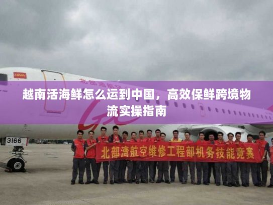 越南活海鲜怎么运到中国,高效保鲜跨境物流实操指南 越南活海鲜怎么运到中国,高效保鲜跨境物流实操指南