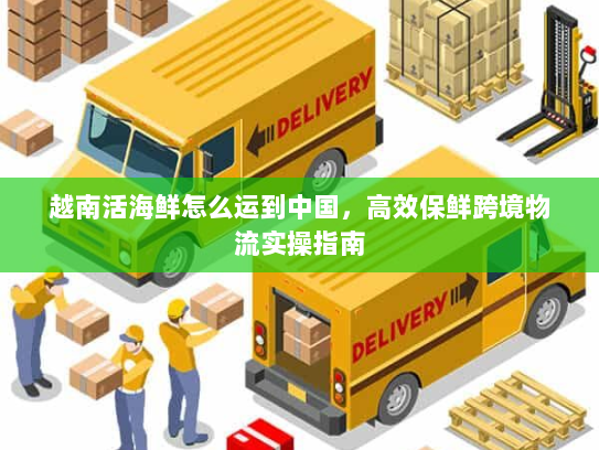 越南活海鲜怎么运到中国,高效保鲜跨境物流实操指南 越南活海鲜怎么运到中国,高效保鲜跨境物流实操指南