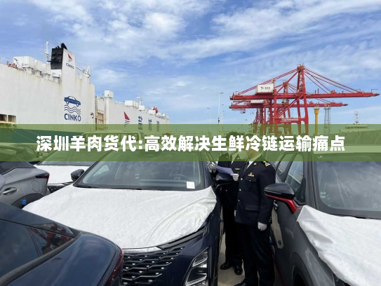 深圳羊肉货代:高效解决生鲜冷链运输痛点 深圳羊肉货代:高效解决生鲜冷链运输痛点
