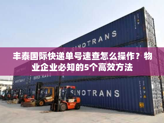 丰泰国际快递单号速查怎么操作？物业企业必知的5个高效方法