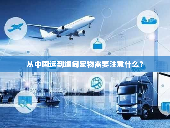 从中国运到缅甸宠物需要注意什么? 从中国运到缅甸宠物需要注意什么?