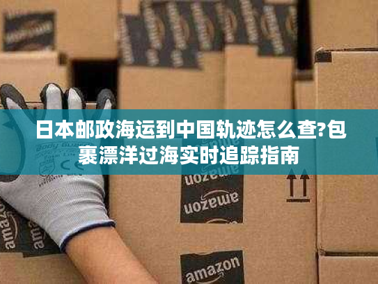 日本邮政海运到中国轨迹怎么查?包裹漂洋过海实时追踪指南