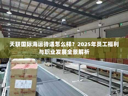 天联国际海运待遇怎么样?2025年员工福利与职业发展全景解析 天联国际海运待遇怎么样?2025年员工福利与职业发展全景解析
