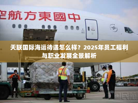 天联国际海运待遇怎么样?2025年员工福利与职业发展全景解析 天联国际海运待遇怎么样?2025年员工福利与职业发展全景解析