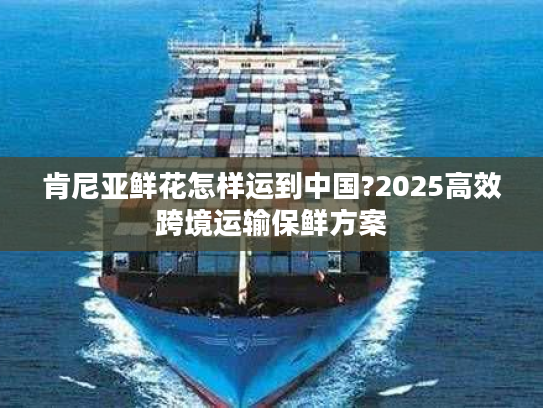 肯尼亚鲜花怎样运到中国?2025高效跨境运输保鲜方案