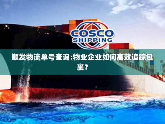 顺发物流单号查询:物业企业如何高效追踪包裹? 顺发物流单号查询:物业企业如何高效追踪包裹?