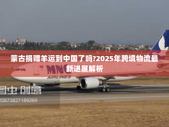 蒙古捐赠羊运到中国了吗?2025年跨境物流最新进展解析 蒙古捐赠羊运到中国了吗?2025年跨境物流最新进展解析