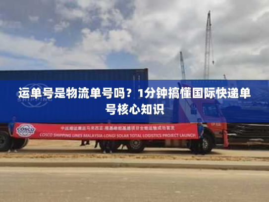 运单号是物流单号吗?1分钟搞懂国际快递单号核心知识 运单号是物流单号吗?1分钟搞懂国际快递单号核心知识