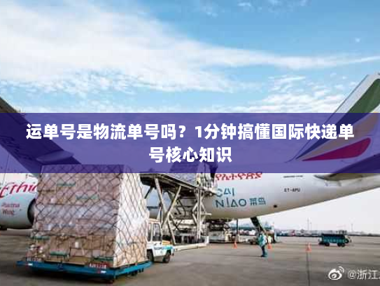 运单号是物流单号吗?1分钟搞懂国际快递单号核心知识 运单号是物流单号吗?1分钟搞懂国际快递单号核心知识