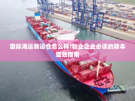 国际海运转运仓怎么样?物业企业必读的降本增效指南