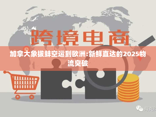 加拿大象拔蚌空运到欧洲:新鲜直达的2025物流突破 加拿大象拔蚌空运到欧洲:新鲜直达的2025物流突破