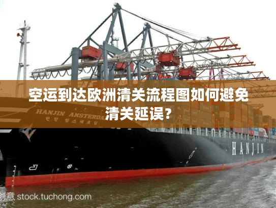 空运到达欧洲清关流程图如何避免清关延误? 空运到达欧洲清关流程图如何避免清关延误?
