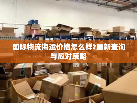 国际物流海运价格怎么样?最新查询与应对策略