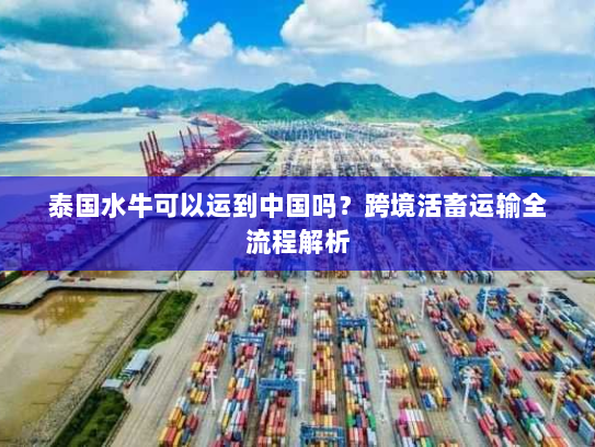 泰国水牛可以运到中国吗?跨境活畜运输全流程解析 泰国水牛可以运到中国吗?跨境活畜运输全流程解析