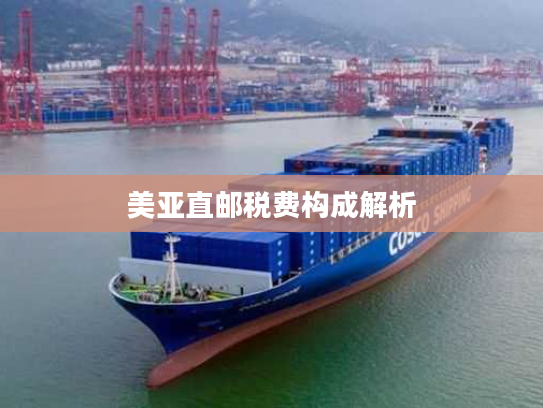 美亚直邮税费构成解析 美亚直邮税费构成解析