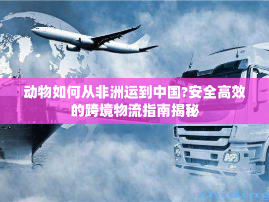 动物如何从非洲运到中国?安全高效的跨境物流指南揭秘