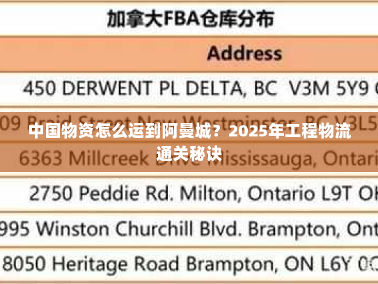 中国物资怎么运到阿曼城？2025年工程物流通关秘诀