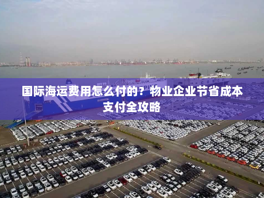 国际海运费用怎么付的?物业企业节省成本支付全攻略 国际海运费用怎么付的?物业企业节省成本支付全攻略