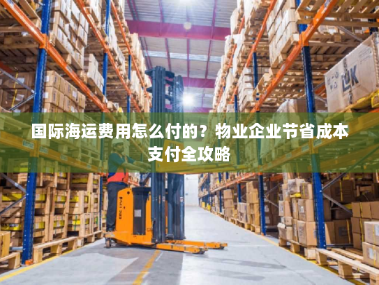 国际海运费用怎么付的?物业企业节省成本支付全攻略 国际海运费用怎么付的?物业企业节省成本支付全攻略