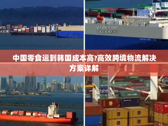 中国零食运到韩国成本高?高效跨境物流解决方案详解 中国零食运到韩国成本高?高效跨境物流解决方案详解