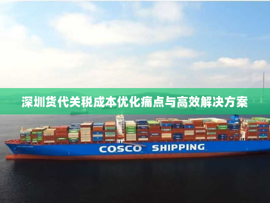 深圳货代关税成本优化痛点与高效解决方案 深圳货代关税成本优化痛点与高效解决方案