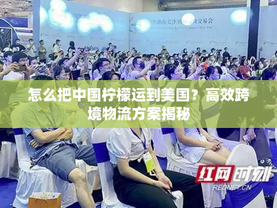 怎么把中国柠檬运到美国？高效跨境物流方案揭秘