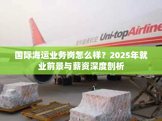 国际海运业务岗怎么样？2025年就业前景与薪资深度剖析