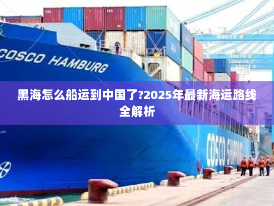 黑海怎么船运到中国了?2025年最新海运路线全解析