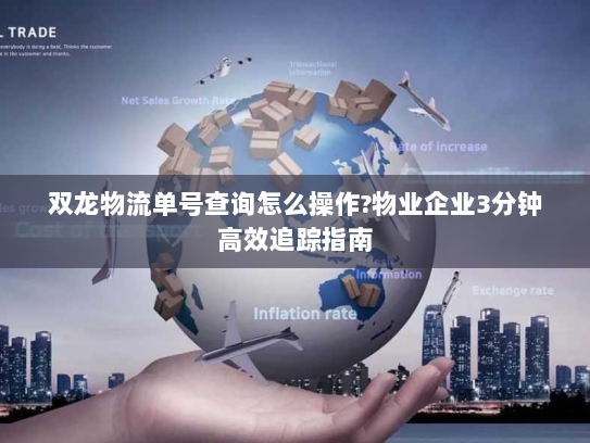 双龙物流单号查询怎么操作?物业企业3分钟高效追踪指南 双龙物流单号查询怎么操作?物业企业3分钟高效追踪指南