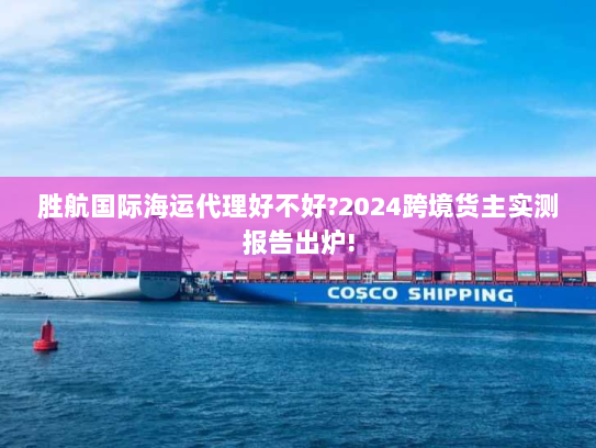 胜航国际海运代理好不好?2024跨境货主实测报告出炉! 胜航国际海运代理好不好?2024跨境货主实测报告出炉!