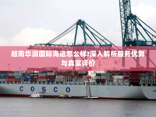 越南华润国际海运怎么样?深入解析服务优势与真实评价 越南华润国际海运怎么样?深入解析服务优势与真实评价