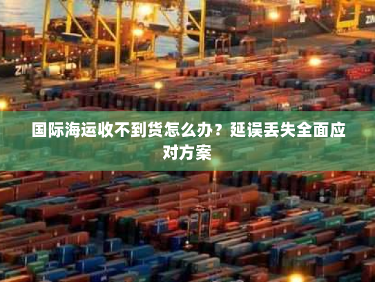 国际海运收不到货怎么办?延误丢失全面应对方案 国际海运收不到货怎么办?延误丢失全面应对方案