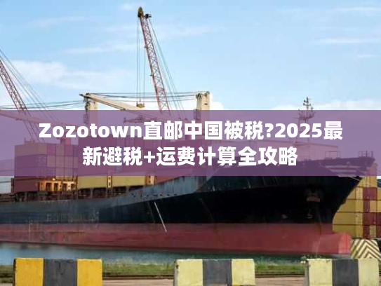 Zozotown直邮中国被税?2025最新避税+运费计算全攻略