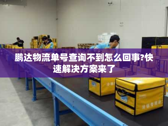 鹏达物流单号查询不到怎么回事?快速解决方案来了 鹏达物流单号查询不到怎么回事?快速解决方案来了