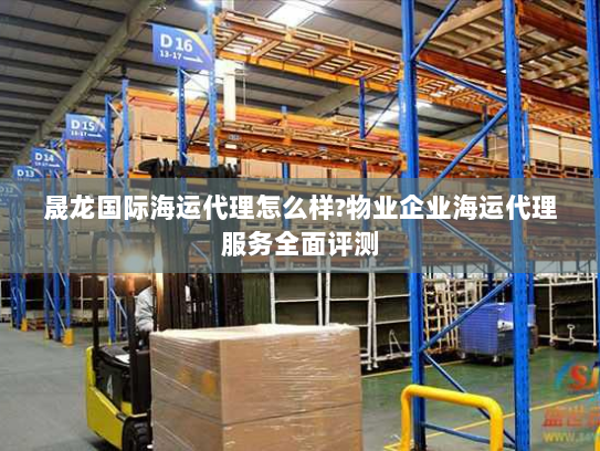 晟龙国际海运代理怎么样?物业企业海运代理服务全面评测