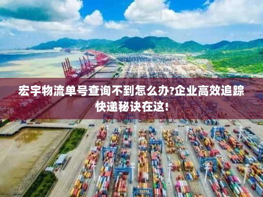 宏宇物流单号查询不到怎么办?企业高效追踪快递秘诀在这!