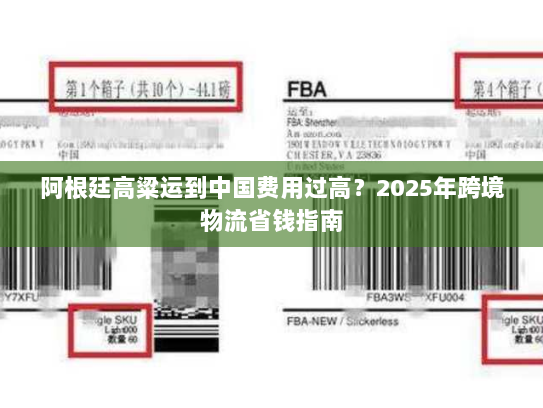 阿根廷高粱运到中国费用过高?2025年跨境物流省钱指南 阿根廷高粱运到中国费用过高?2025年跨境物流省钱指南