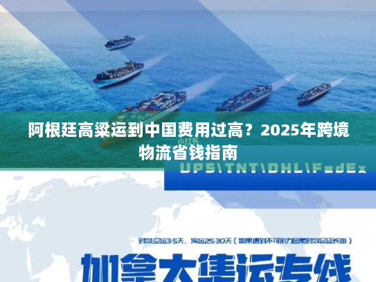 阿根廷高粱运到中国费用过高?2025年跨境物流省钱指南 阿根廷高粱运到中国费用过高?2025年跨境物流省钱指南