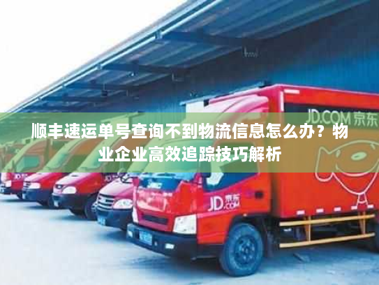 顺丰速运单号查询不到物流信息怎么办?物业企业高效追踪技巧解析 顺丰速运单号查询不到物流信息怎么办?物业企业高效追踪技巧解析