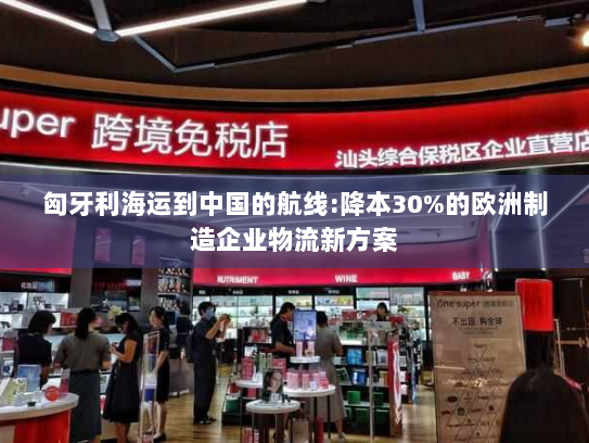 匈牙利海运到中国的航线:降本30%的欧洲制造企业物流新方案