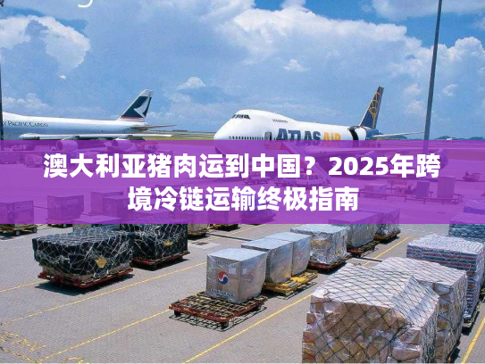 澳大利亚猪肉运到中国？2025年跨境冷链运输终极指南