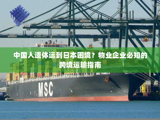 中国人遗体运到日本困境？物业企业必知的跨境运输指南