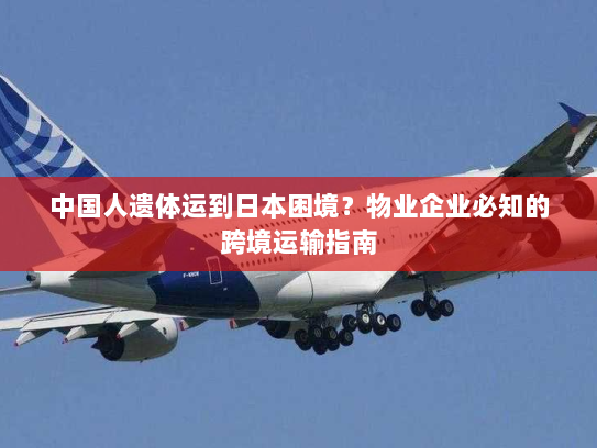 中国人遗体运到日本困境？物业企业必知的跨境运输指南
